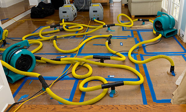 Professional Water Damage Repair technician working in Caledonia, OH